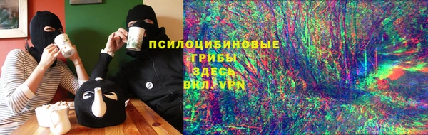 соль ск Верея